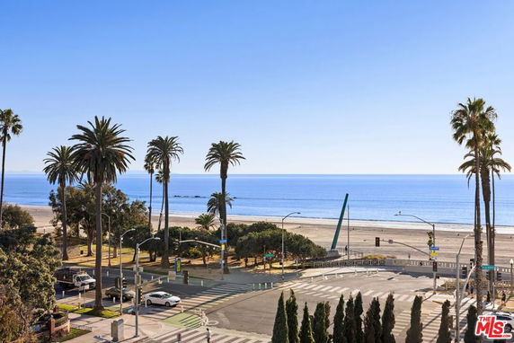 Panoramic view of a beach with palm trees and ocean in the background.