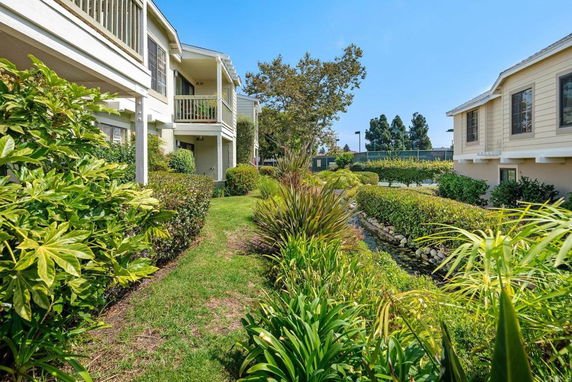 Garden view between two residential buildings.