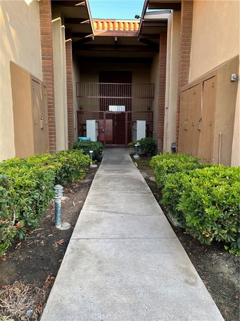 Front view of a building entrance with a concrete pathway and flanked by shrubs.