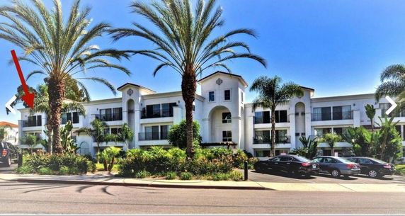 Front view of a multi-story modern building with large windows and palm trees in front.