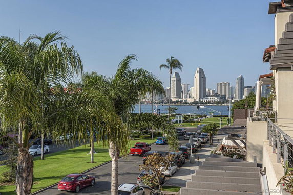 City skyline view across a body of water with palm trees and parked cars in the foreground.