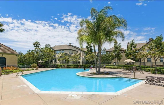 Outdoor swimming pool with surrounding patio and palm trees.