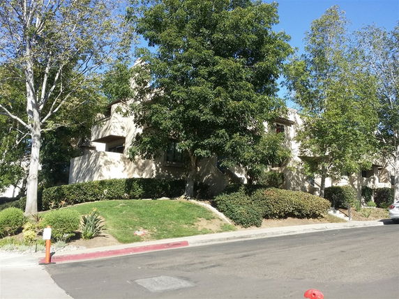 Front view of a residential building partially obscured by trees.