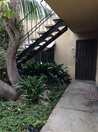 Entrance area with stairs and plants.