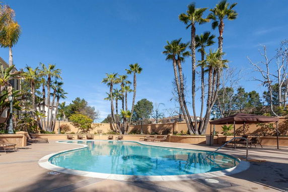 Outdoor swimming pool area with palm trees and lounge chairs.
