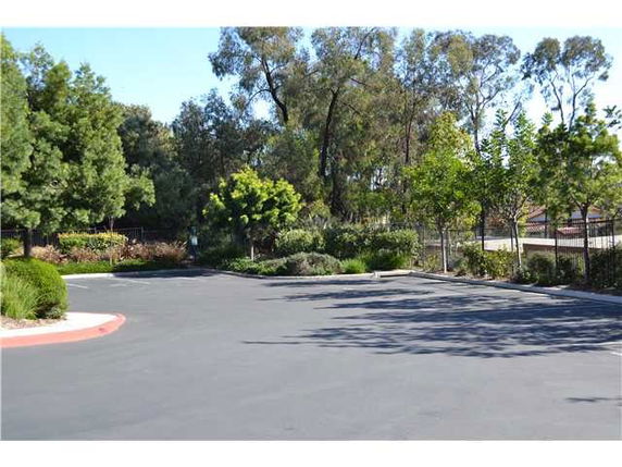 Outdoor parking area surrounded by trees and vegetation.