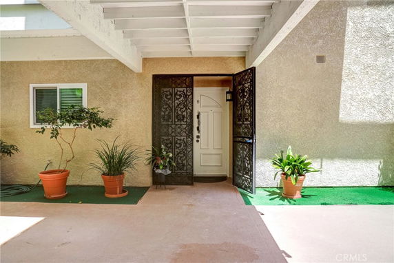 Front entrance of a house with a white door and potted plants.