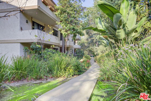 Pathway leading through lush greenery beside an apartment building.