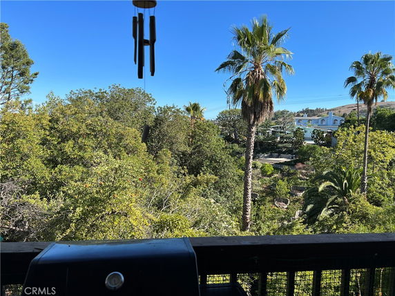Panoramic view of a lush green landscape with palm trees and distant buildings.