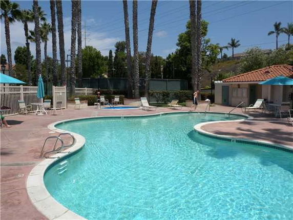 Outdoor swimming pool area with palm trees and sun loungers.