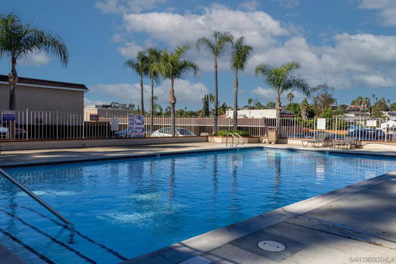 Outdoor swimming pool with surrounding fence and palm trees.