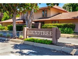 Front view of a building with a sign reading 'Roundtree'.