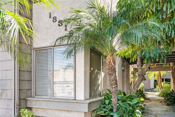 Corner view of a building with large windows surrounded by palm trees.