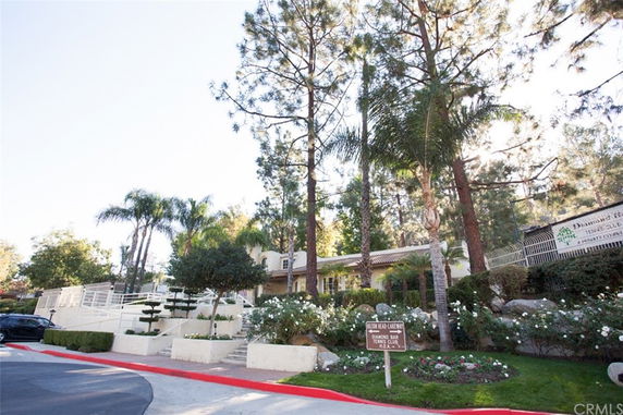 Front view of a house surrounded by tall trees and a landscaped garden.