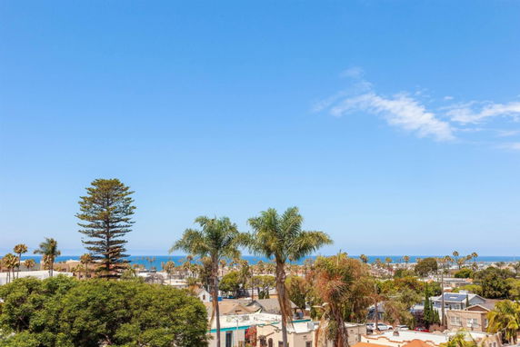 View of a residential area with palm trees and ocean in the background.