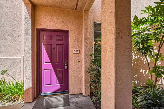Front view of a building entrance with a purple door and the number 237.