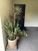 cacrmls/bf1bb227cea7970874f2b3261b31b96f.jpg?width=131&height=105&format3=webp