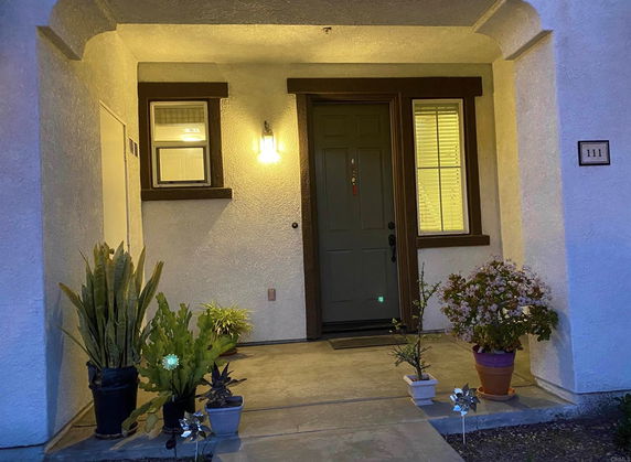 Front view of a house entrance with plants and illuminated door.