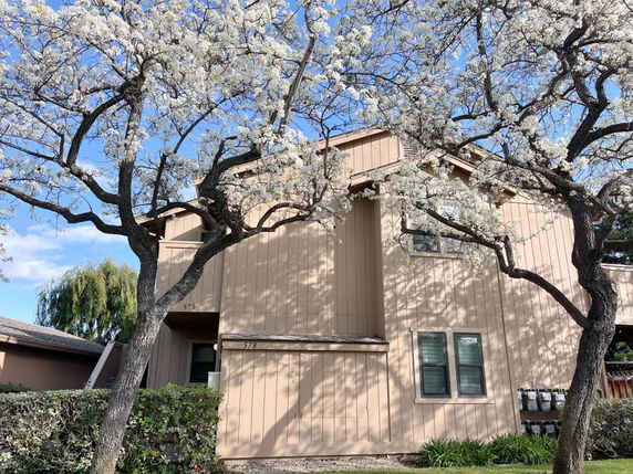 Front view of a two-story house with vertical siding and several windows, surrounded by flowering trees.