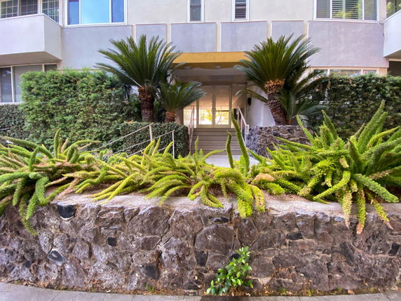 Front view of a building entrance with stairs and landscaped greenery.