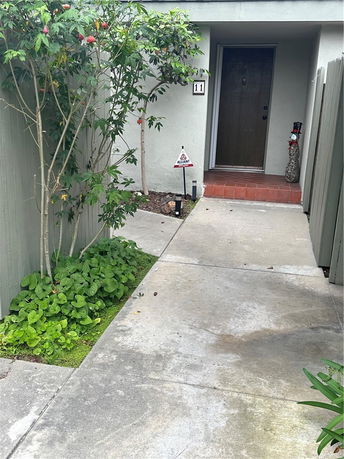 Front entrance of a house with a door, small plants, and a concrete pathway.