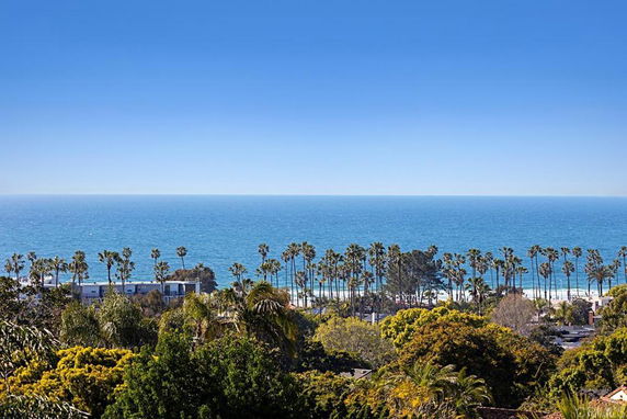 Panoramic view of the ocean with palm trees in the foreground.