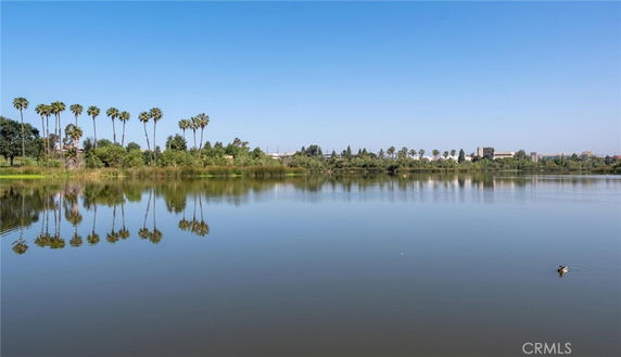 Wide view of a calm lake with palm trees and distant buildings in the background.