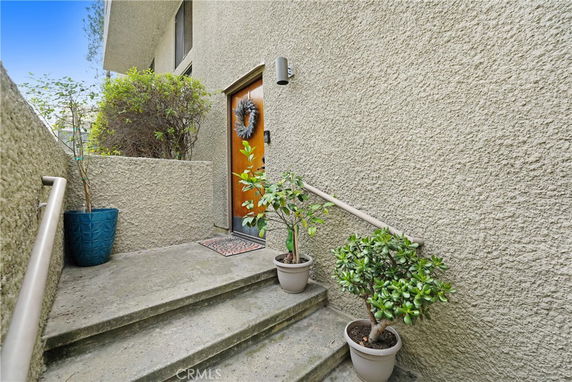 Entrance to a house with stone steps and potted plants