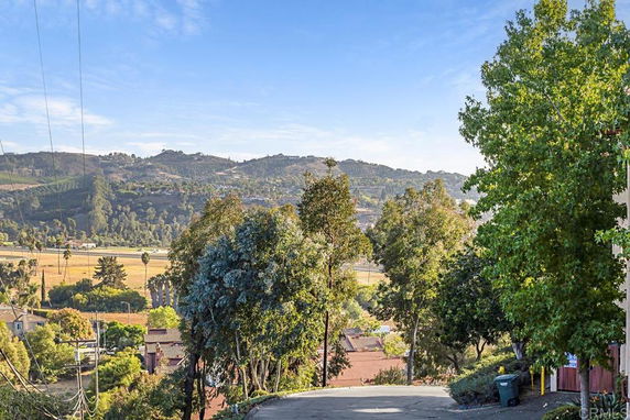 View of hills and greenery from a higher vantage point with trees and distant landscape.