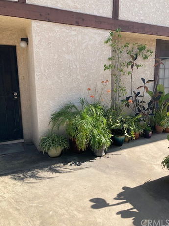 Front view of a building with a door and windows, surrounded by potted plants.