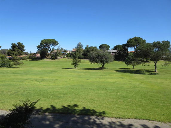 Expansive green landscape with several trees and distant houses under a clear blue sky.