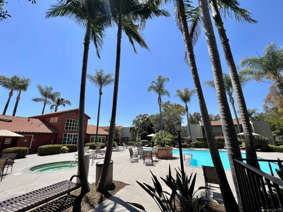 Outdoor swimming pool area with lounge chairs and palm trees.