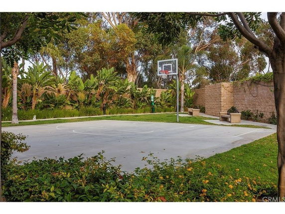 Outdoor basketball court surrounded by trees and vegetation.