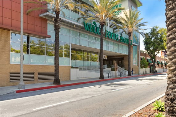 Front view of a commercial building with large windows and palm trees.