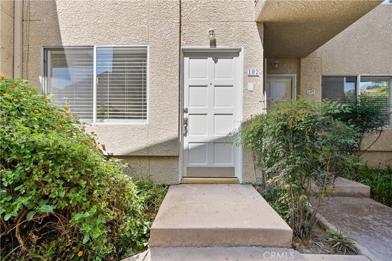 Front view of a house with a white door and window, surrounded by plants.