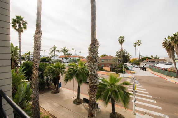 View from a building showing streets lined with palm trees and houses.