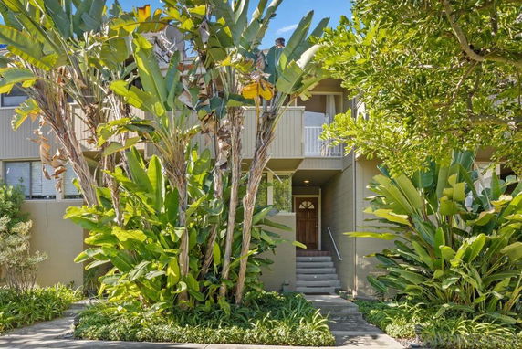 Front view of a house with large plants and a stairway leading to the entrance.