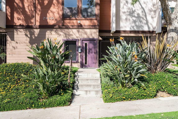 Front entrance of a multi-story building with purple doors and surrounding plants.