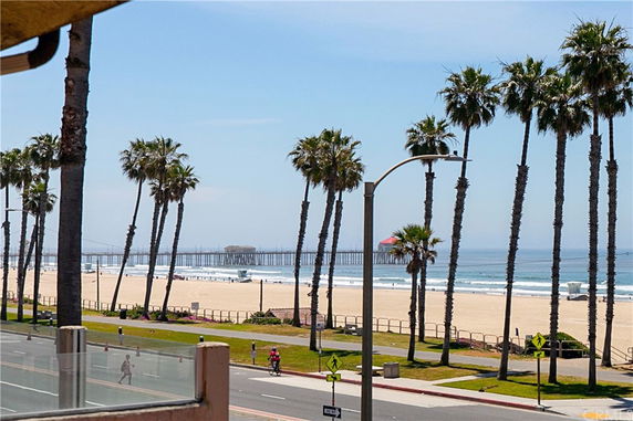 View of a beach with palm trees and a pier by the ocean.