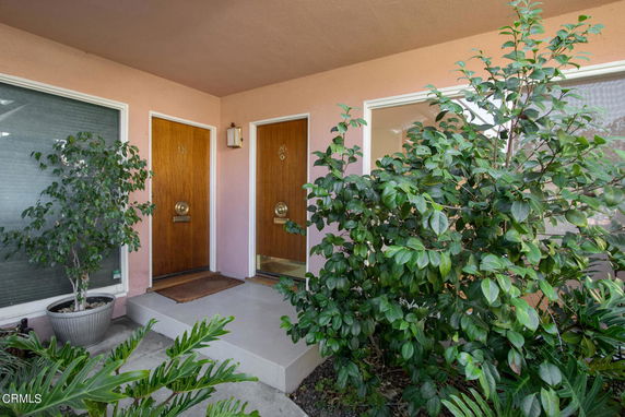Entrance view of a building with two wooden doors and potted plants.