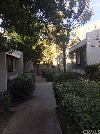 Pathway between buildings with bushes and trees.