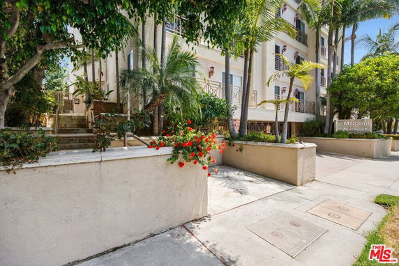 Front view of a multi-story residential building with balconies and surrounding palm trees.