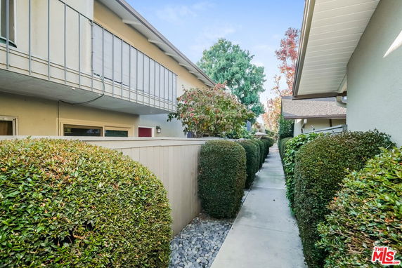 View of a pathway between residential buildings with trimmed hedges and trees.