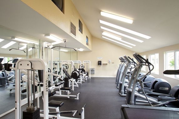 Indoor gym area with exercise equipment and skylights.