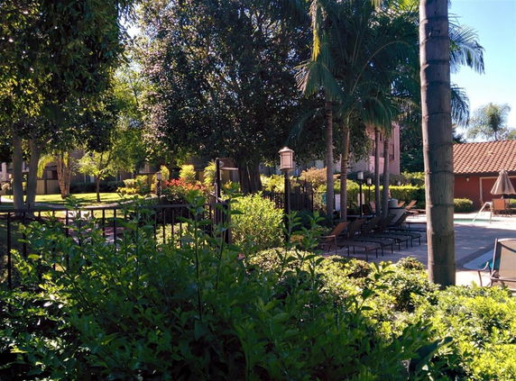 Outdoor area with a swimming pool and surrounding greenery.