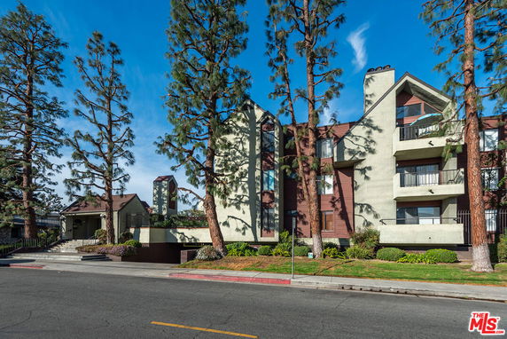 Front view of a multi-story building with balconies and surrounded by tall trees.