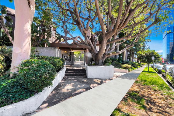 Front view of a building entrance with steps and a large tree in front.