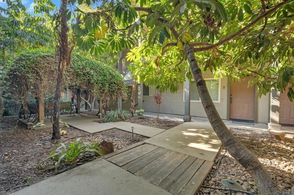 Walkway leading to a building entrance surrounded by lush greenery.