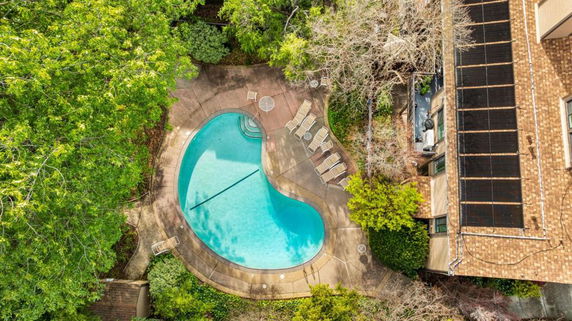 Aerial view of backyard with a swimming pool surrounded by greenery.