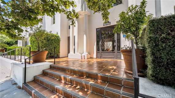 Front view of a building entrance with tiled steps and potted plants.